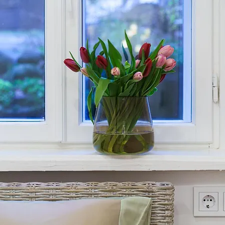 Modern Scandinavian Feeling-prime