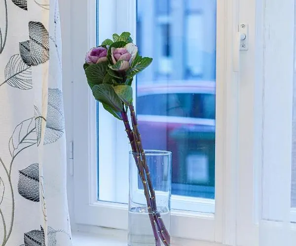 Apartment Modern Scandinavian Feeling-prime