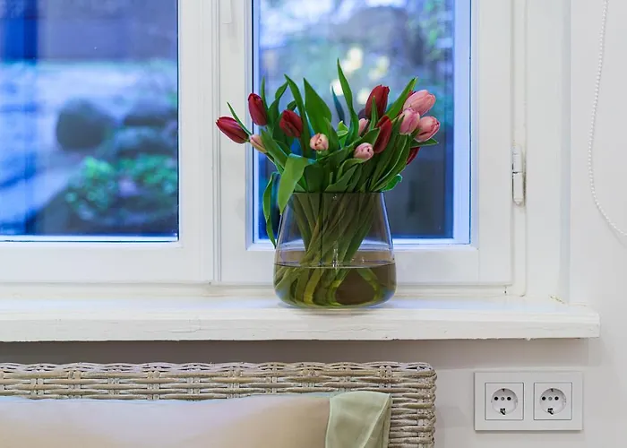 Modern Scandinavian Feeling-prime